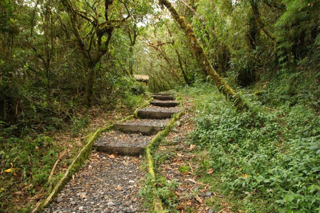 Poas Volcano La Paz Tiquicia Lodge Вара-Бланка Экстерьер фото